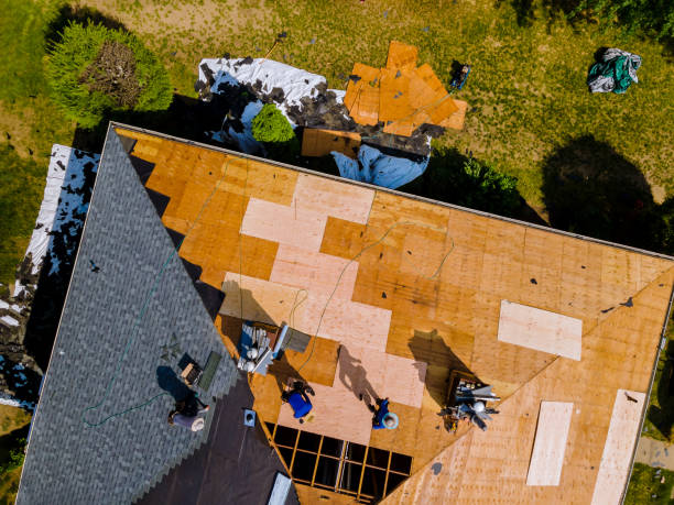 Best Flat Roof Repair Services  in Shippensburg University, PA